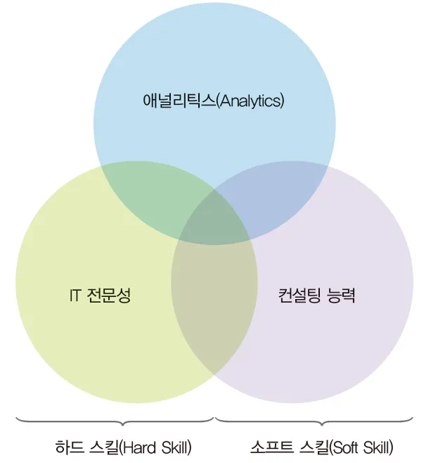 분석도구 측면의 활용 능력